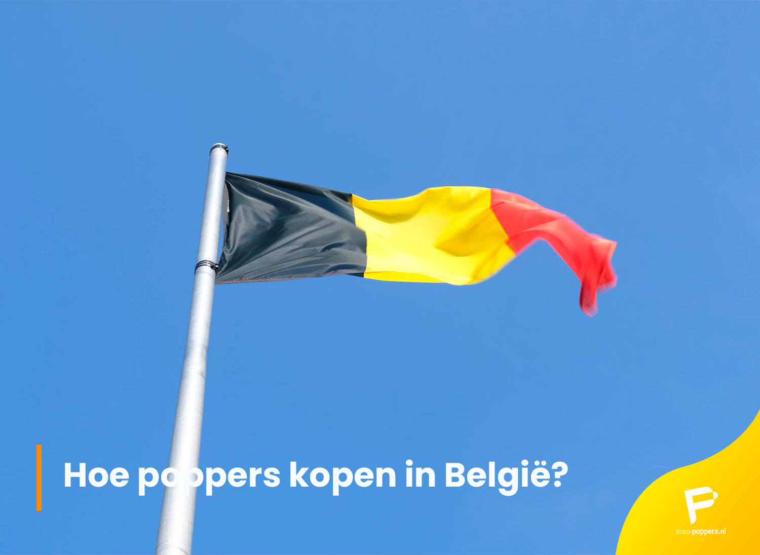 Je bekijkt nu Hoe poppers kopen in België?