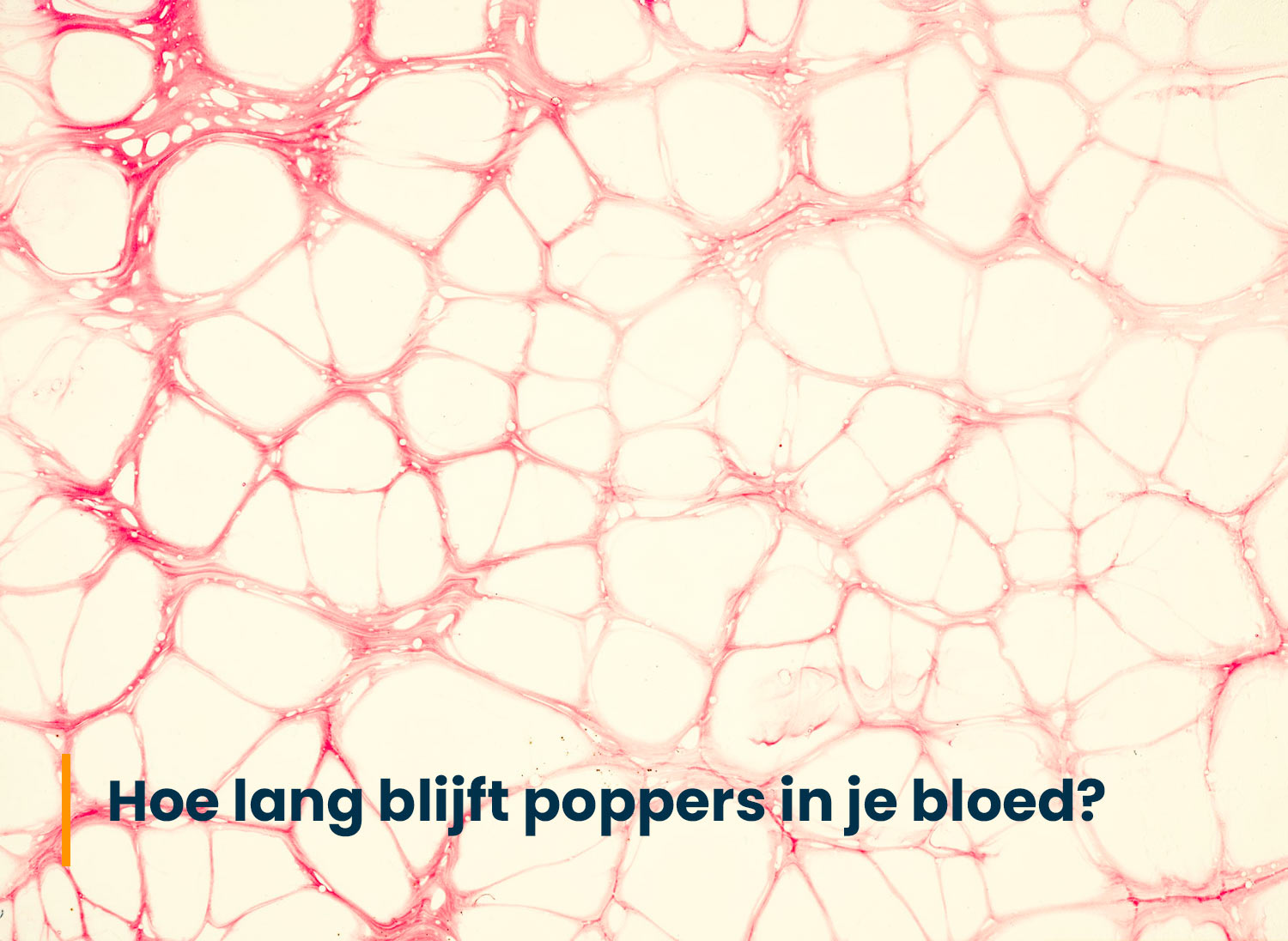 Lees meer over het artikel Hoe lang blijft poppers in je bloed?