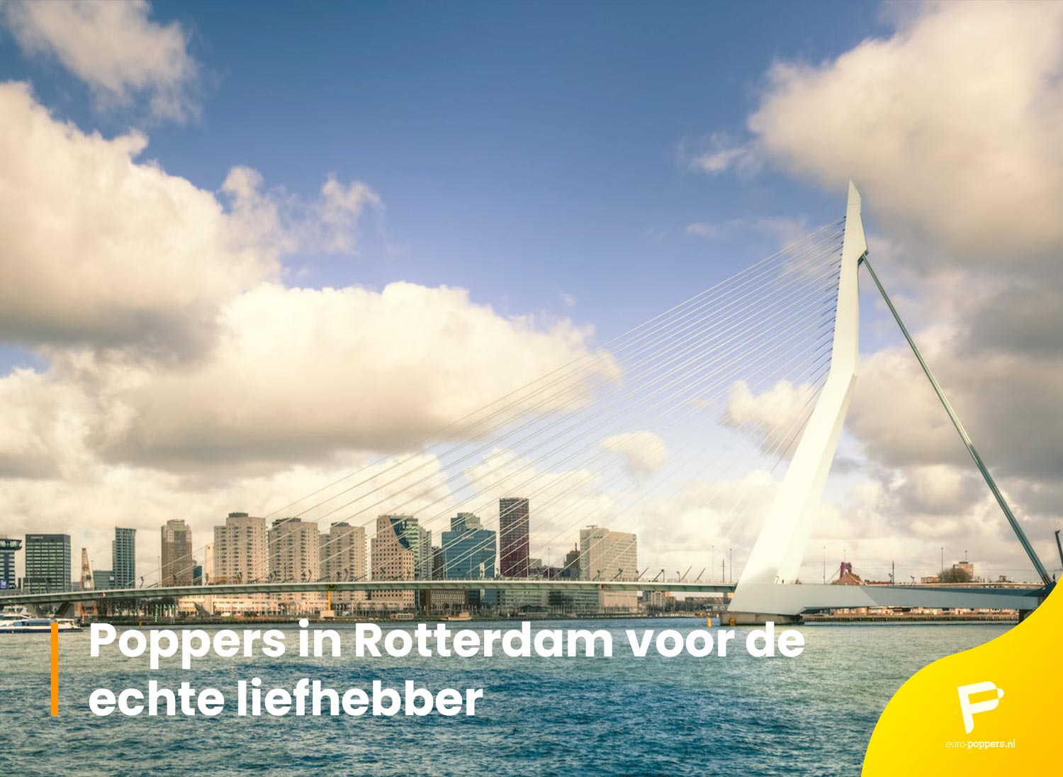 Je bekijkt nu Poppers in Rotterdam voor de echte liefhebber