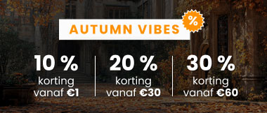 autumn vibes