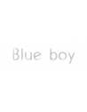 Blue Boy